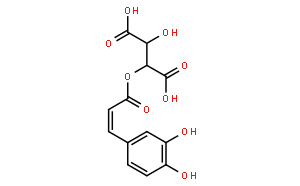 咖啡酰酒石酸 ；單咖啡酰灑石酸