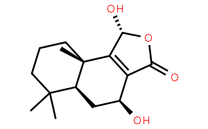 Fuegin