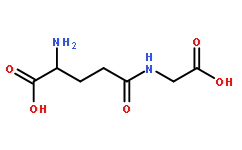 γ-D-Glutamylglycine
