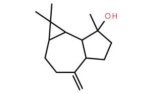 桉油烯醇