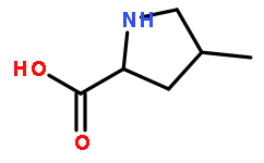 (4S)-4-Methyl-L-proline