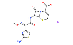 頭孢唑肟鈉