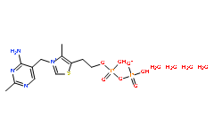 四水合輔羧酶;四水合硫胺焦磷酸酯