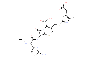 頭孢地嗪酸;頭孢地嗪酸