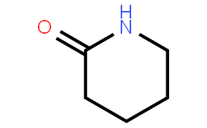 2-氮己环酮