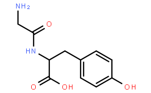 甘氨酰-L-酪氨酸；甘洛二肽