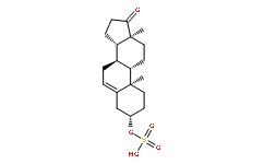 dehydroepiandrosterone sulfate (sodium salt)