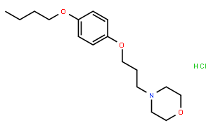 盐酸普莫卡因