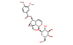 L-Aspartic Acid β-naphthylamide