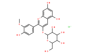 Peonidin-3-O-Glucoside 芍药素-3-O-葡萄糖苷