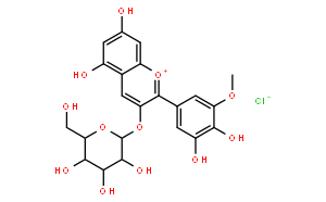 Petunidin-3-O-Glucoside 矮牵牛素-3-O-葡萄糖苷