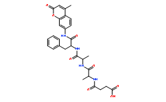 N-Succinyl-Ala-Ala-Phe-7-amido-4-methylcoumarin