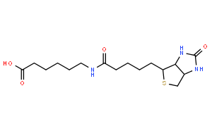 6-生物素氨基己酸