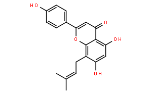 甘草黄酮C