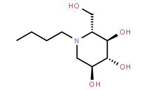 美格鲁特