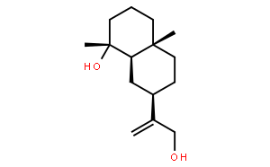 Ilicol