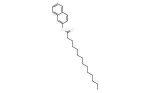 2-Naphthyl Myristate