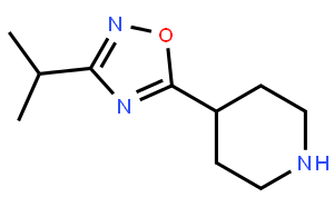 4-(3-异丙基-1,2,4-恶二唑-5-基)哌啶