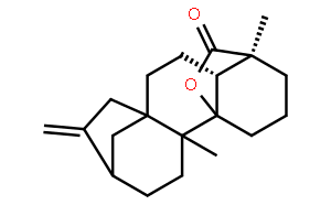 Tetrachyrin