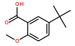 5-叔丁基-2-甲氧基苯甲酸
