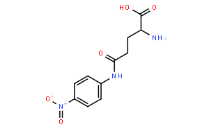 L-Glutamic Acid γ-p-Nitroanilide