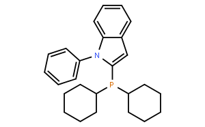 2-(二环己基膦)-1-苯基吲哚