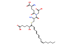 11-trans Leukotriene C4