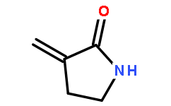 3-methylene-2-Pyrrolidinone