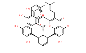 桑皮酮H;桑白皮素A