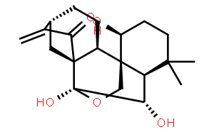疏展香茶菜宁B