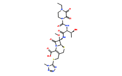 Cefbuperazone