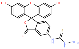 荧光素-5-氨基硫脲