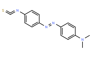 4-N,N-二甲基氨基偶氮苯-4`-異硫氰酸酯