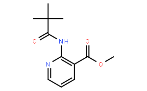 Methyl 2-(2,2,2-trimethylacetamido)nicotinate