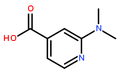 2-(二甲基氨基)异烟酸