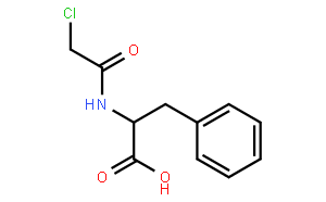 2-[(2-Chloroacetyl)amino]-3-phenylpropanoic Acid