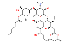 Leucomycin A13
