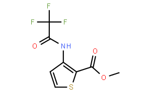3-(N-三氟乙酰氨基)噻吩-2-羧酸甲酯