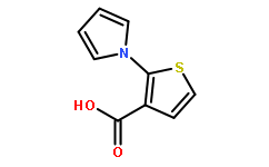 2-(1H-吡咯-1-基)噻吩-3-羧酸