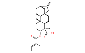 ent-3β-Tigloyloxykaur-16-en-19-o