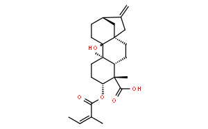 3α-Angeloyloxypterokaurene L3