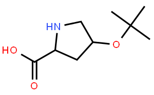 H-Hyp(tBu)-OH