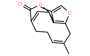 異烏藥醚內(nèi)酯；異烏藥內(nèi)酯