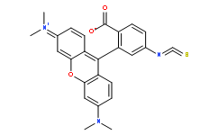 四甲基羅丹明-6-異硫氰酸