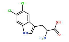 H-Trp(5,6-DiChloro)-OH