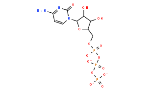 5'-三磷酸胞苷二钠盐(二水)