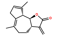 Kauniolide