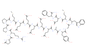 Gastrin-1, rat