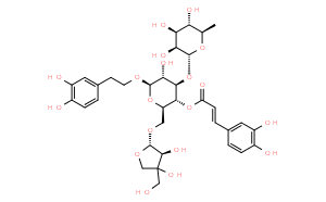 連翹酯苷B