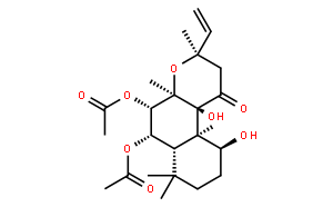 毛喉帖 J